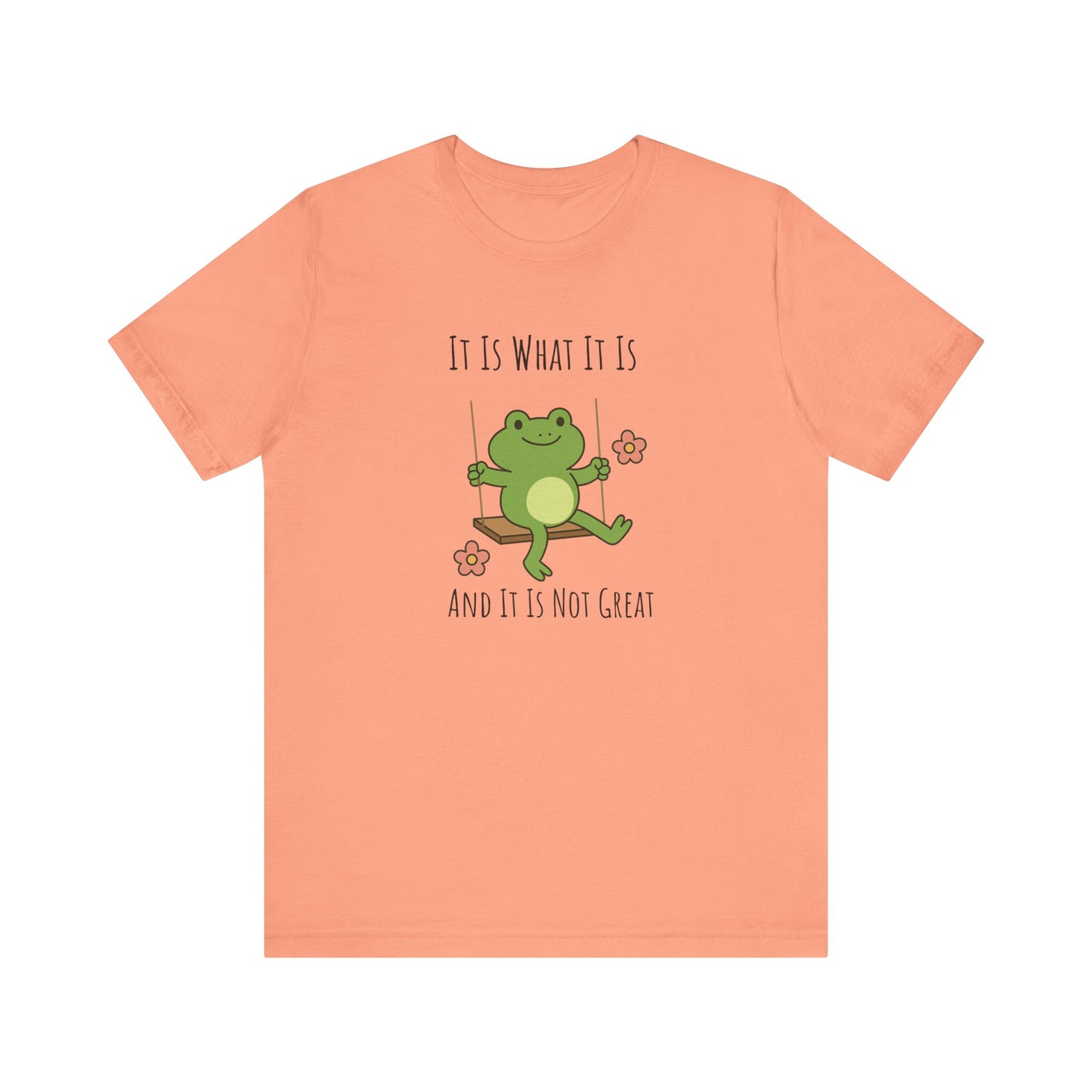 It Is What It Is T-shirt | Funny Frog Graphic Tee | Silly Unhinged Gift