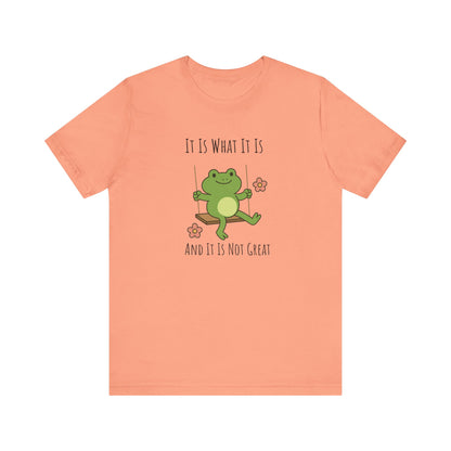 It Is What It Is T-shirt | Funny Frog Graphic Tee | Silly Unhinged Gift