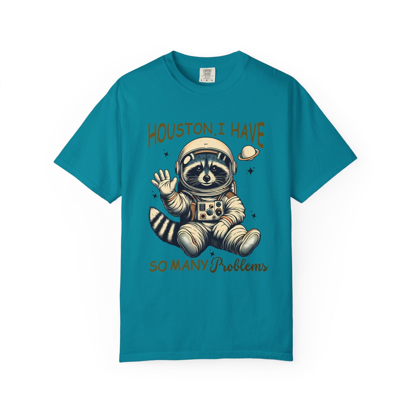 Testing Day Shirt | Funny Testing T-Shirt | Teacher Life | State Testing Shirt | Comfort Colors Teachers Test Day| Racoon Teacher Shirts |