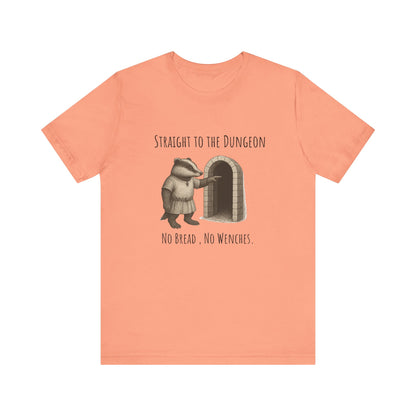 Straight to the Dungeon sweatshirt | funny gift | cozy crewneck | unisex sweatshirt | sarcastic saying | soft & comfy | gag gift | trending